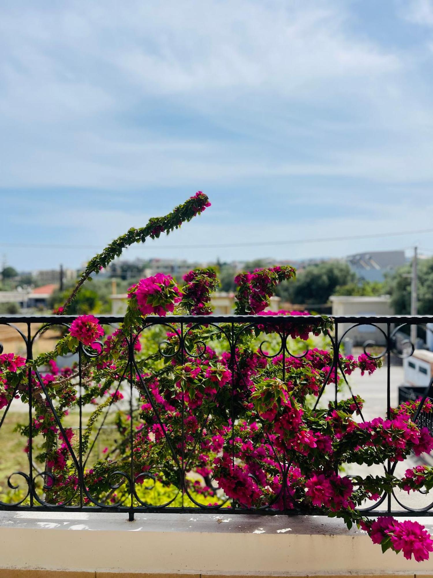 Vila Thea Artemis Kato Daratso Exteriér fotografie