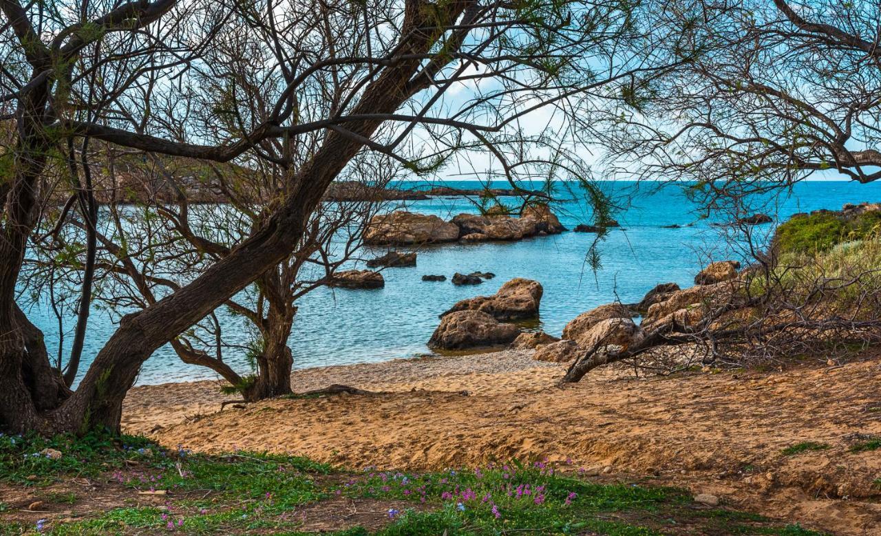 Vila Thea Artemis Kato Daratso Exteriér fotografie